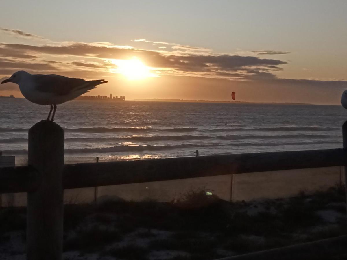 Carmel Huys Villa Cape Town Eksteriør bilde