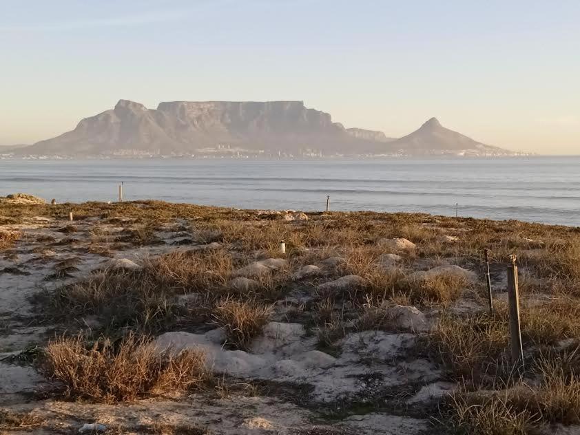 Carmel Huys Villa Cape Town Eksteriør bilde